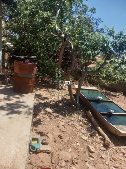 lote-venda-nossa-senhora-de-fatima-betim-824956